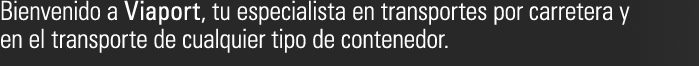 Bienvenido a Viaport, tu especialista en transportes por carretera y en el transporte de cualquier tipo de contenedor